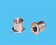 �ӵ؉��T��ĸ��